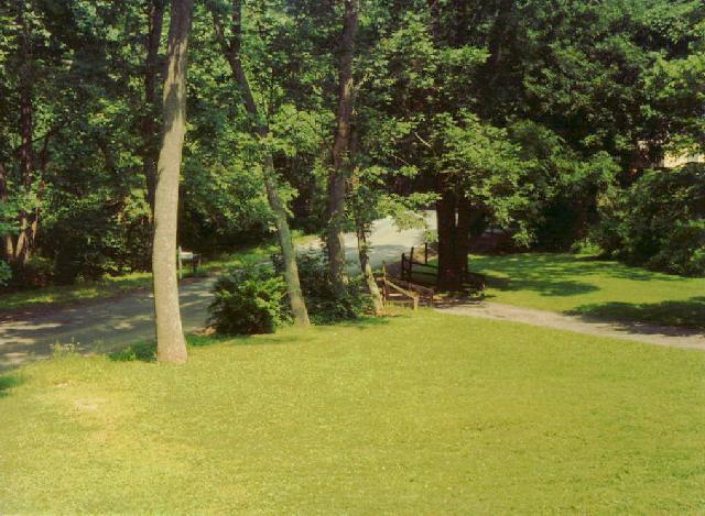 Looking down my driveway