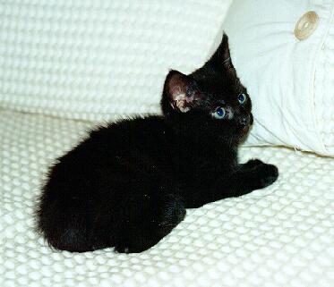 Loreley on the bed