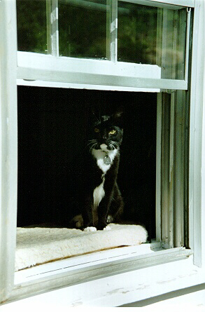 Melyanna looking out the window